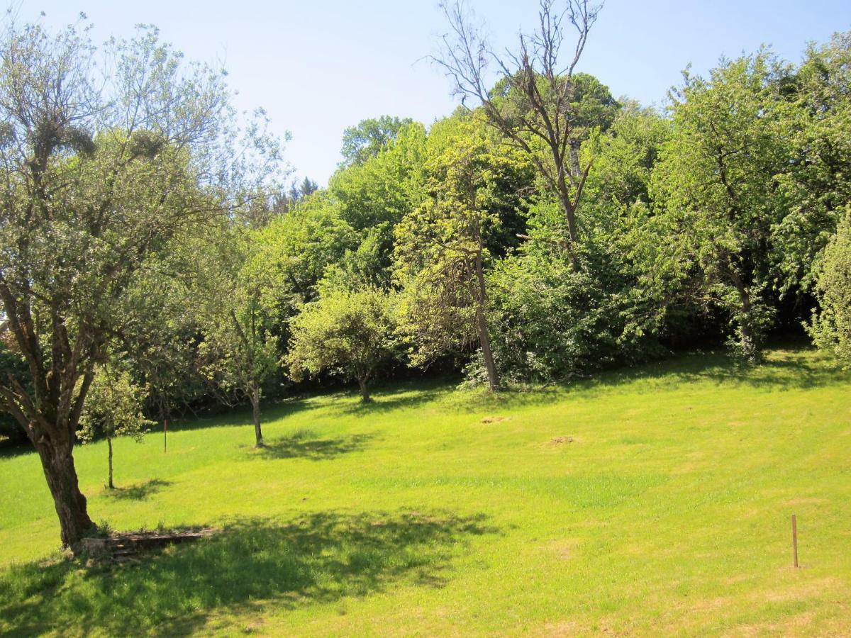 Appartement Ambiente Waidhofen an der Ybbs Εξωτερικό φωτογραφία